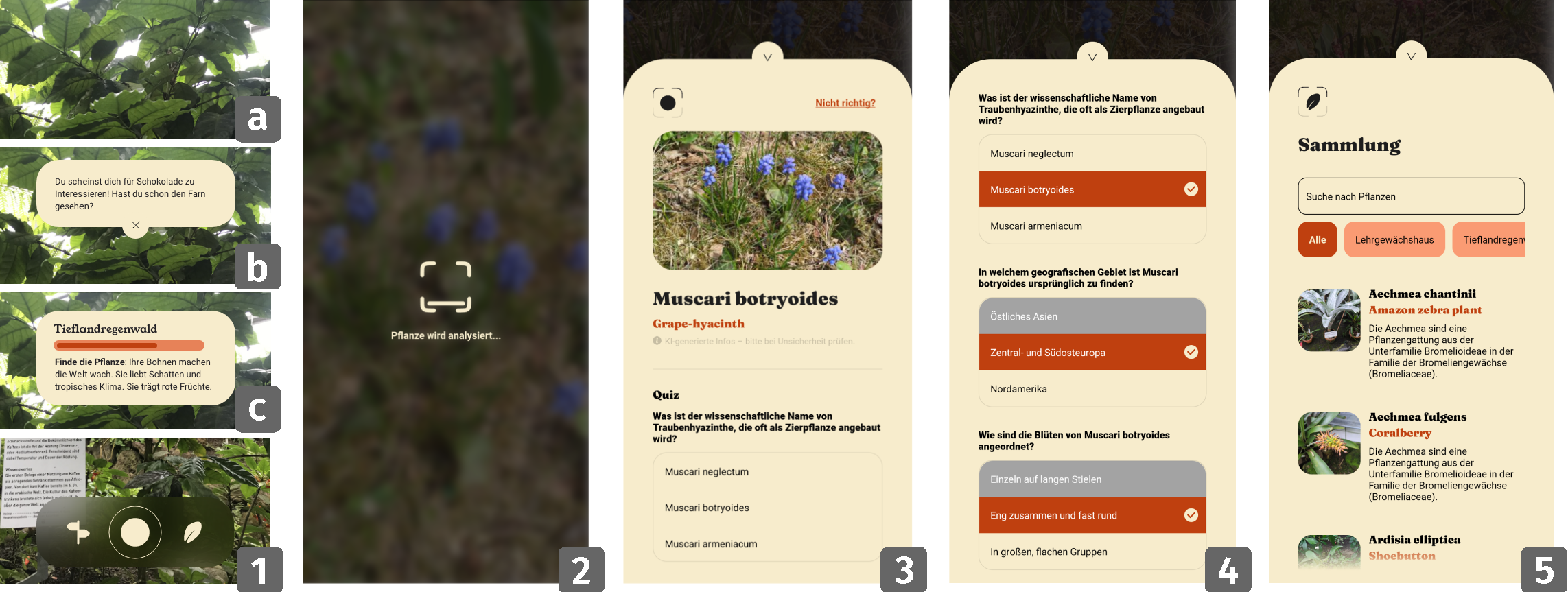 BotaXplore: Enhancing Visitor Engagement and Learning in Botanical Gardens Through Mobile Technology